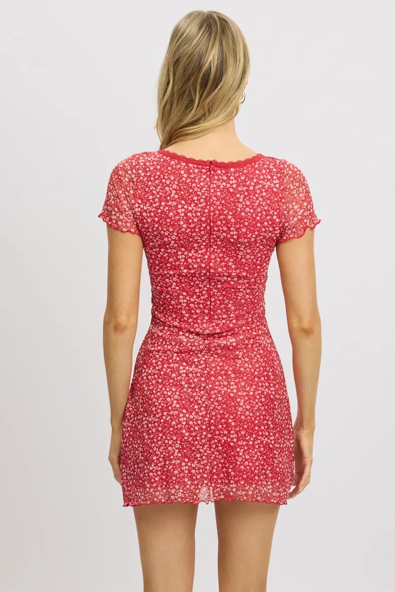 Red Ditsy Mesh Dress V Neck Mini
